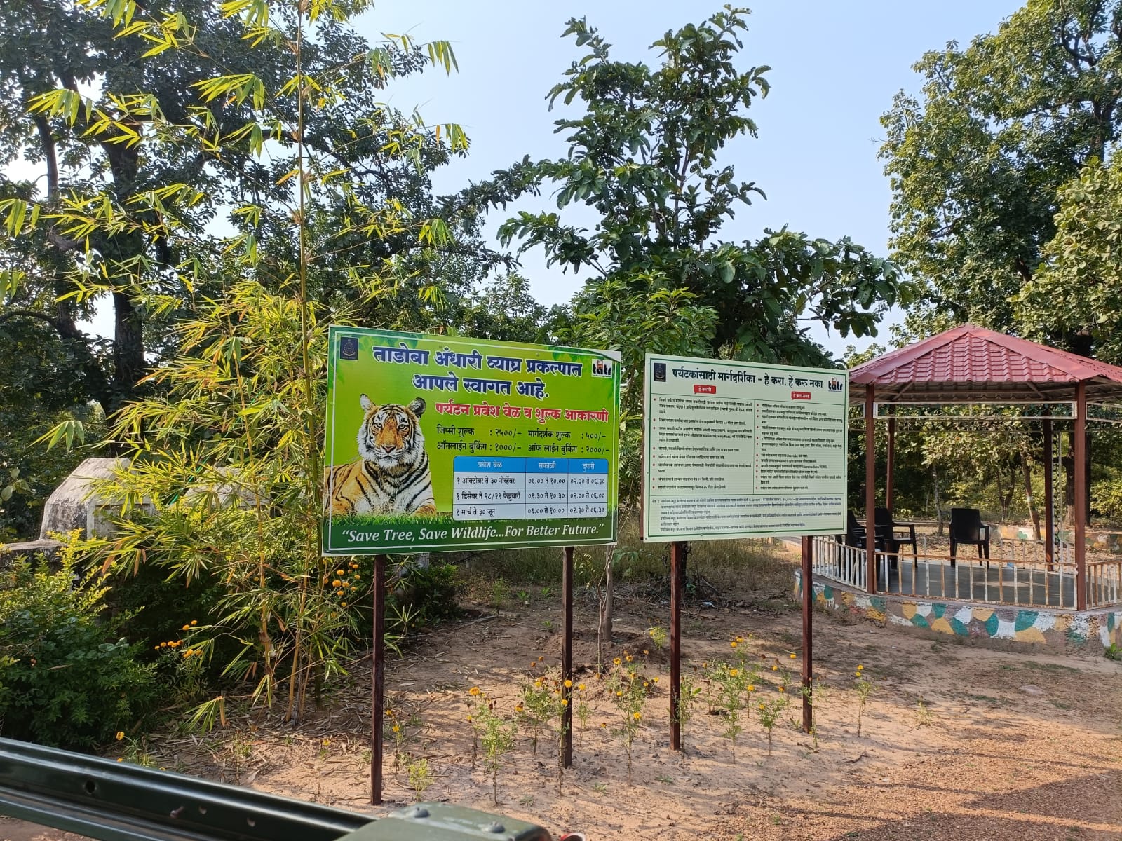 Tadoba